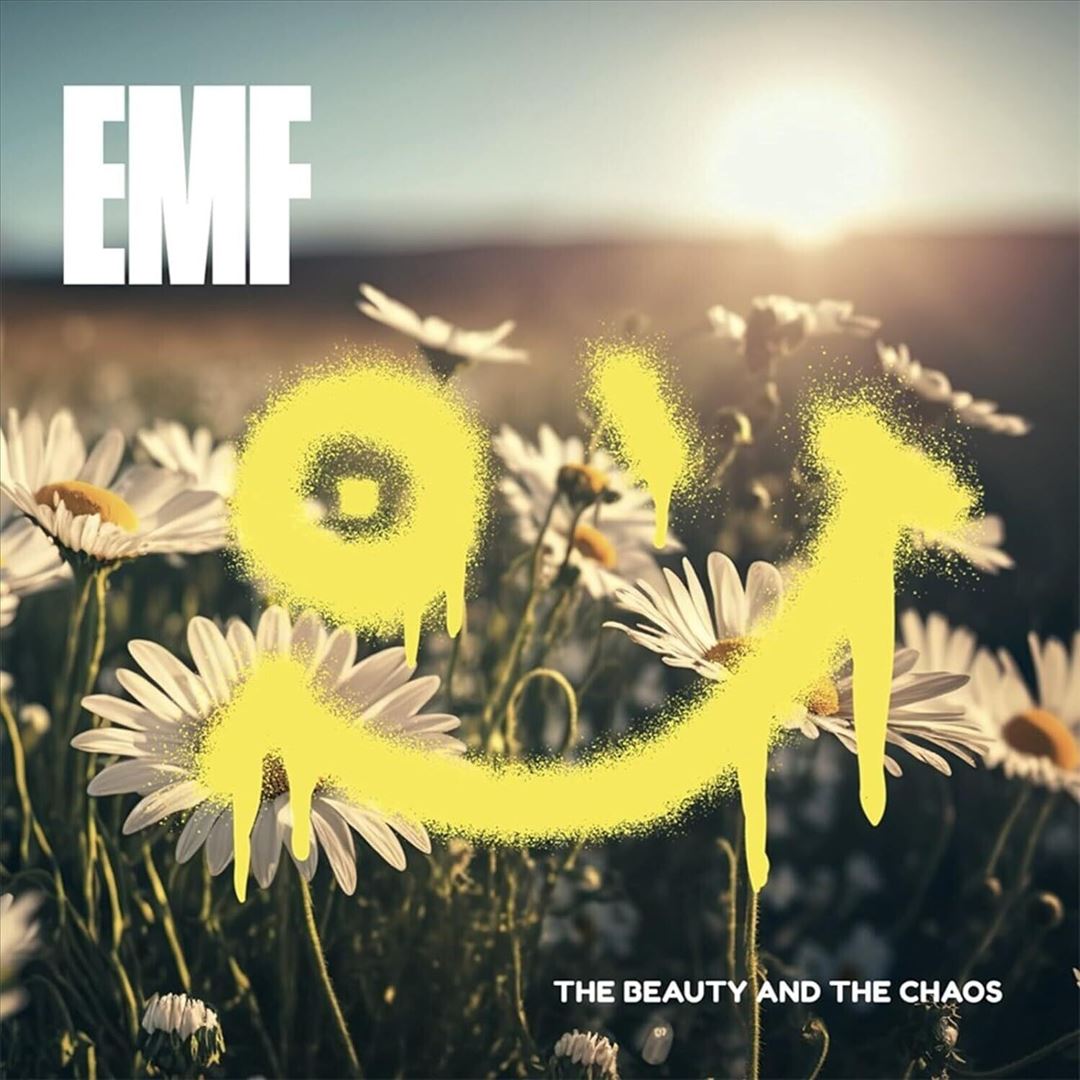 Beauty and the Chaos cover art