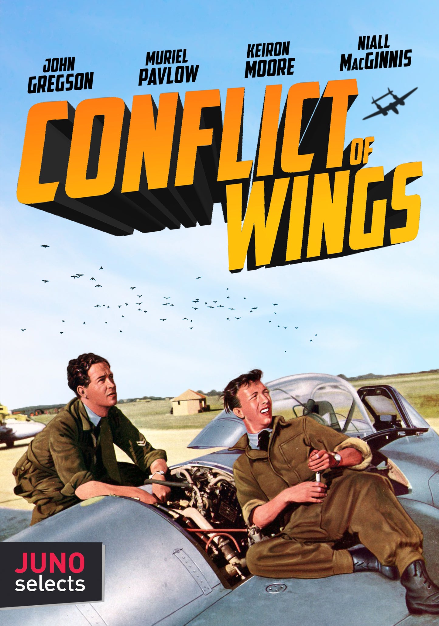 Conflict of Wings cover art