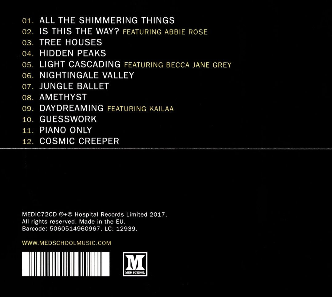 All the Shimmering Things cover art