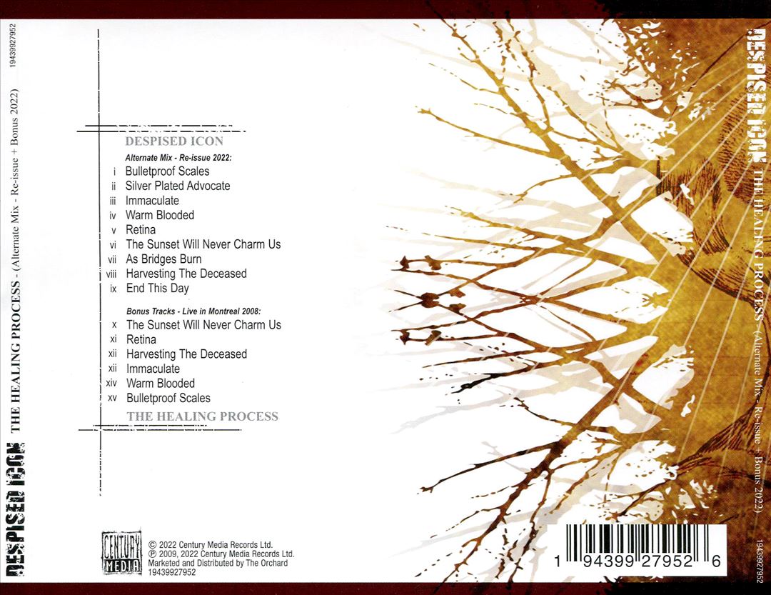 Healing Process cover art