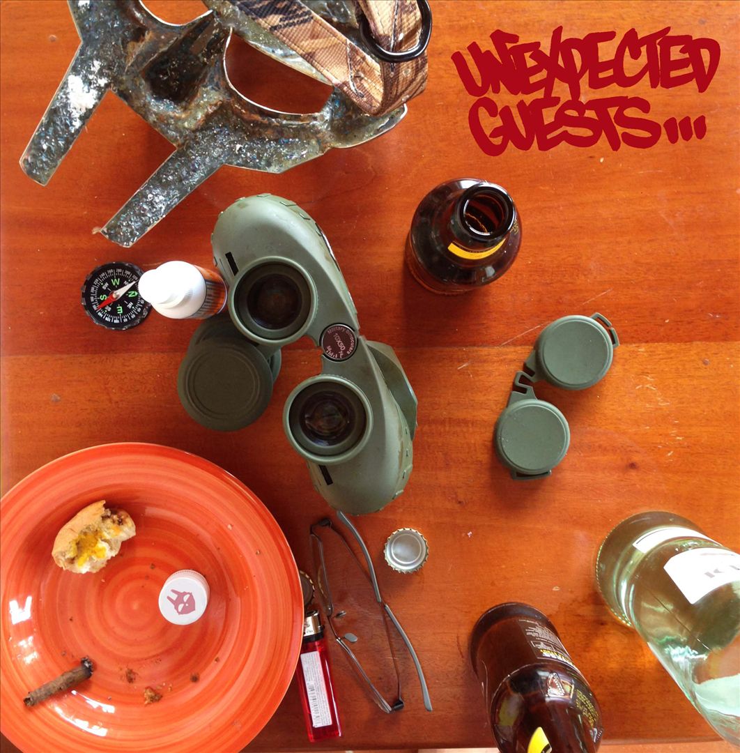 Unexpected Guests cover art