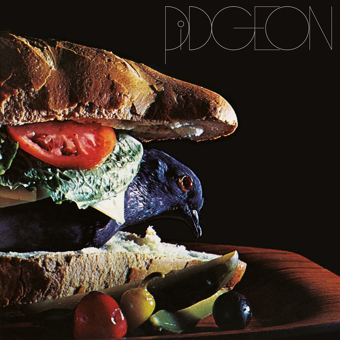 Pidgeon cover art