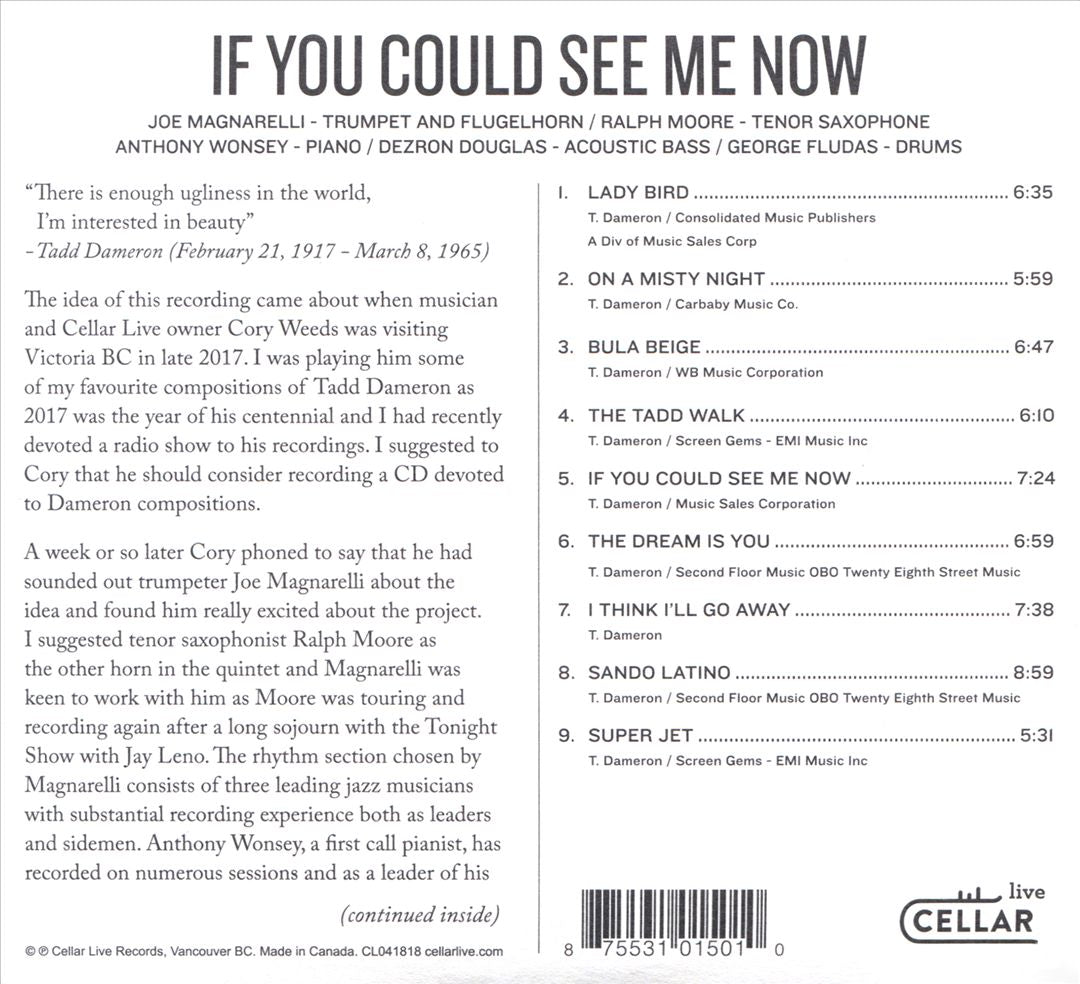 If You Could See Me Now cover art