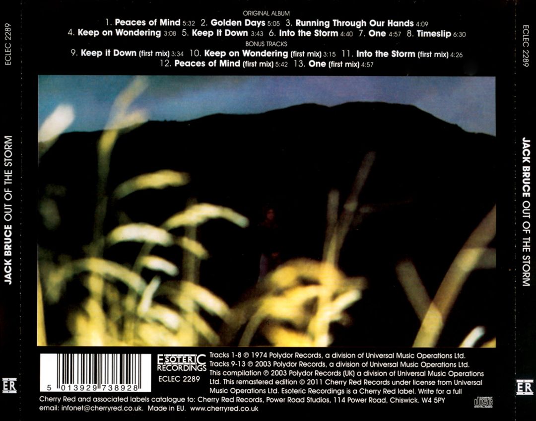 Out of the Storm cover art