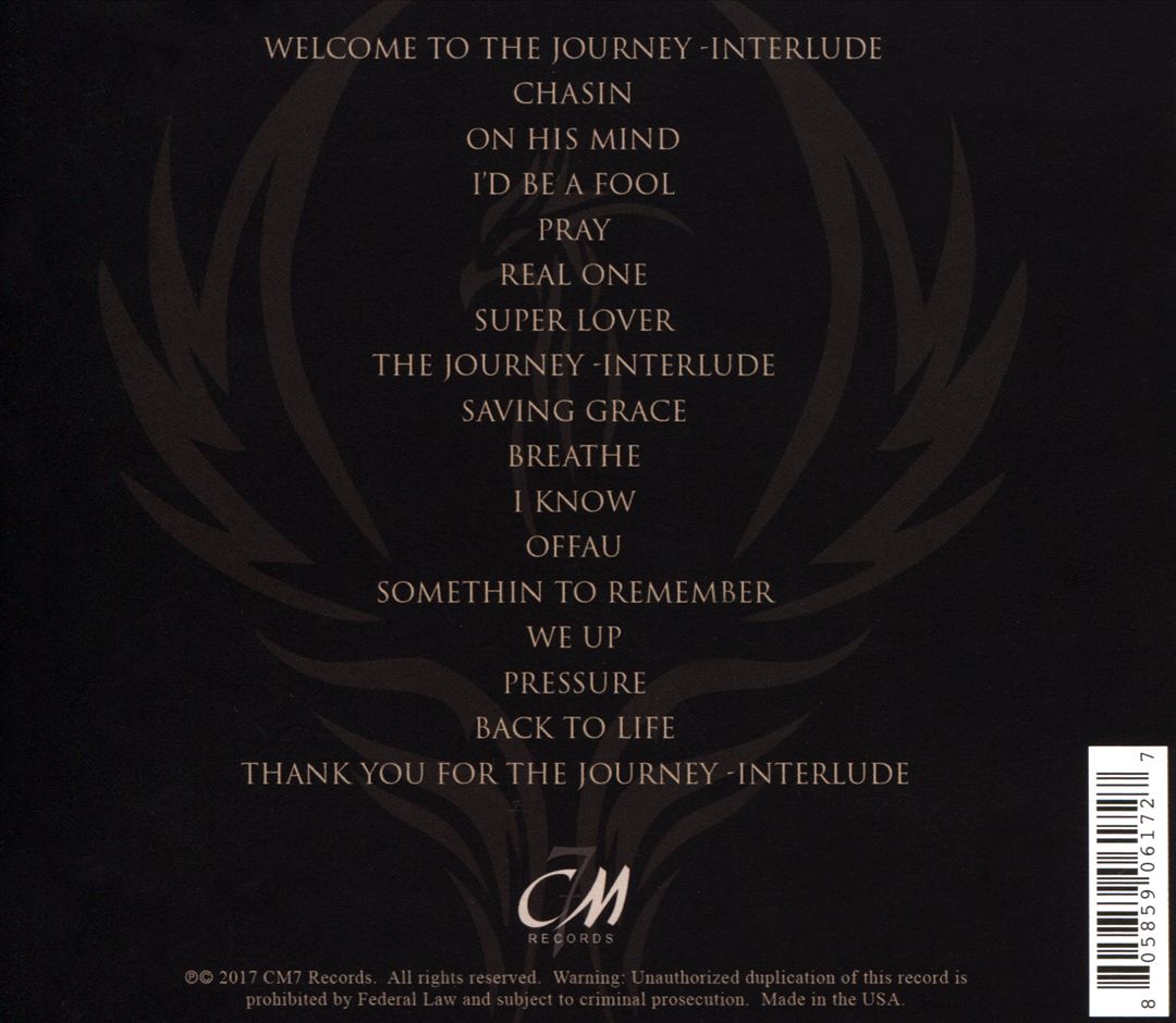 Rise of the Phoenix cover art