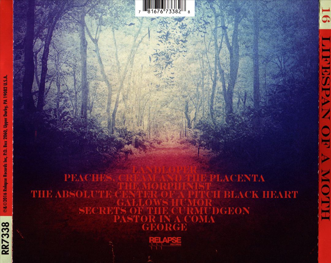 Lifespan of a Moth cover art