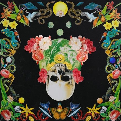 Helichrysum cover art