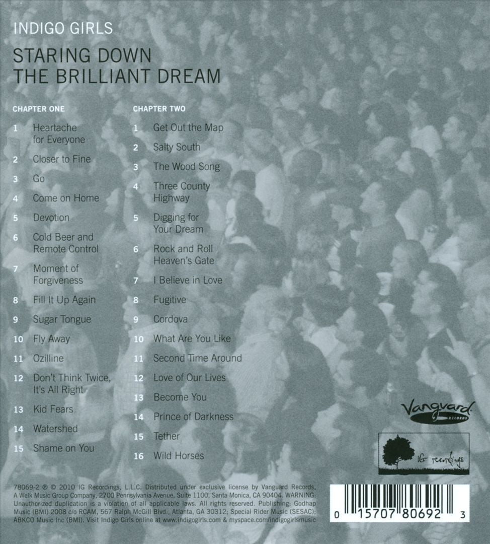 Staring Down the Brilliant Dream cover art