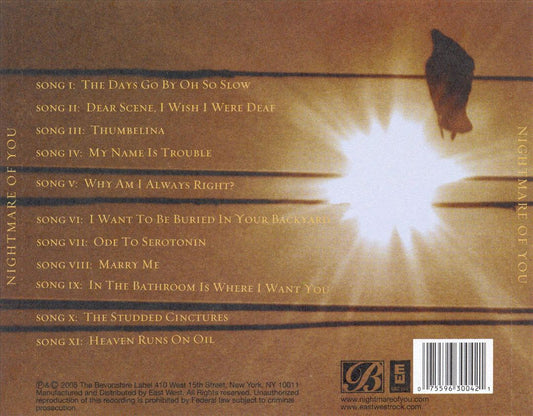 Nightmare of You cover art