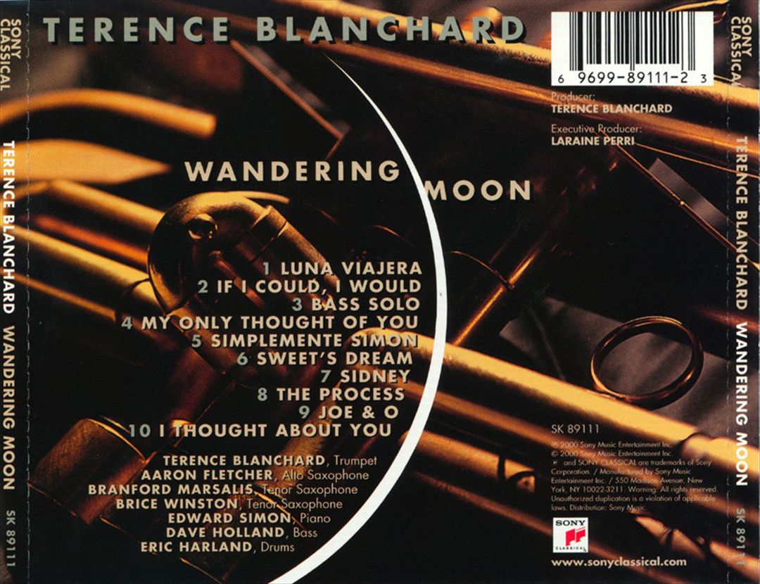 Wandering Moon cover art