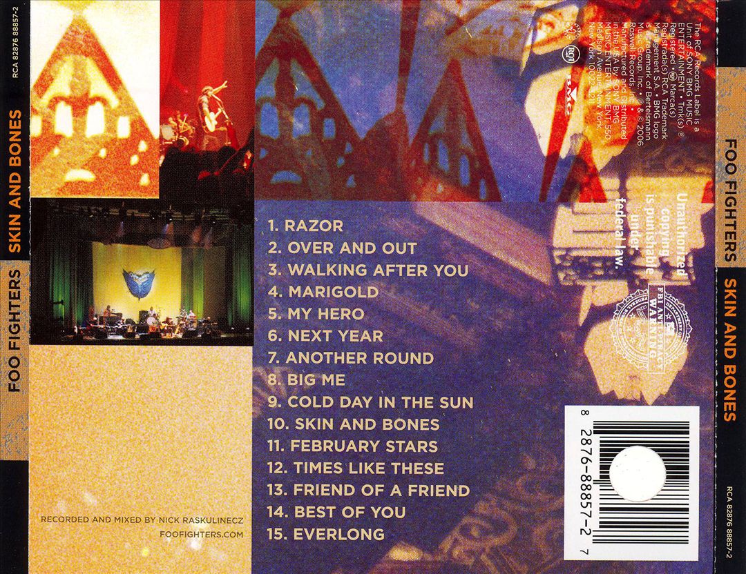 Skin and Bones cover art