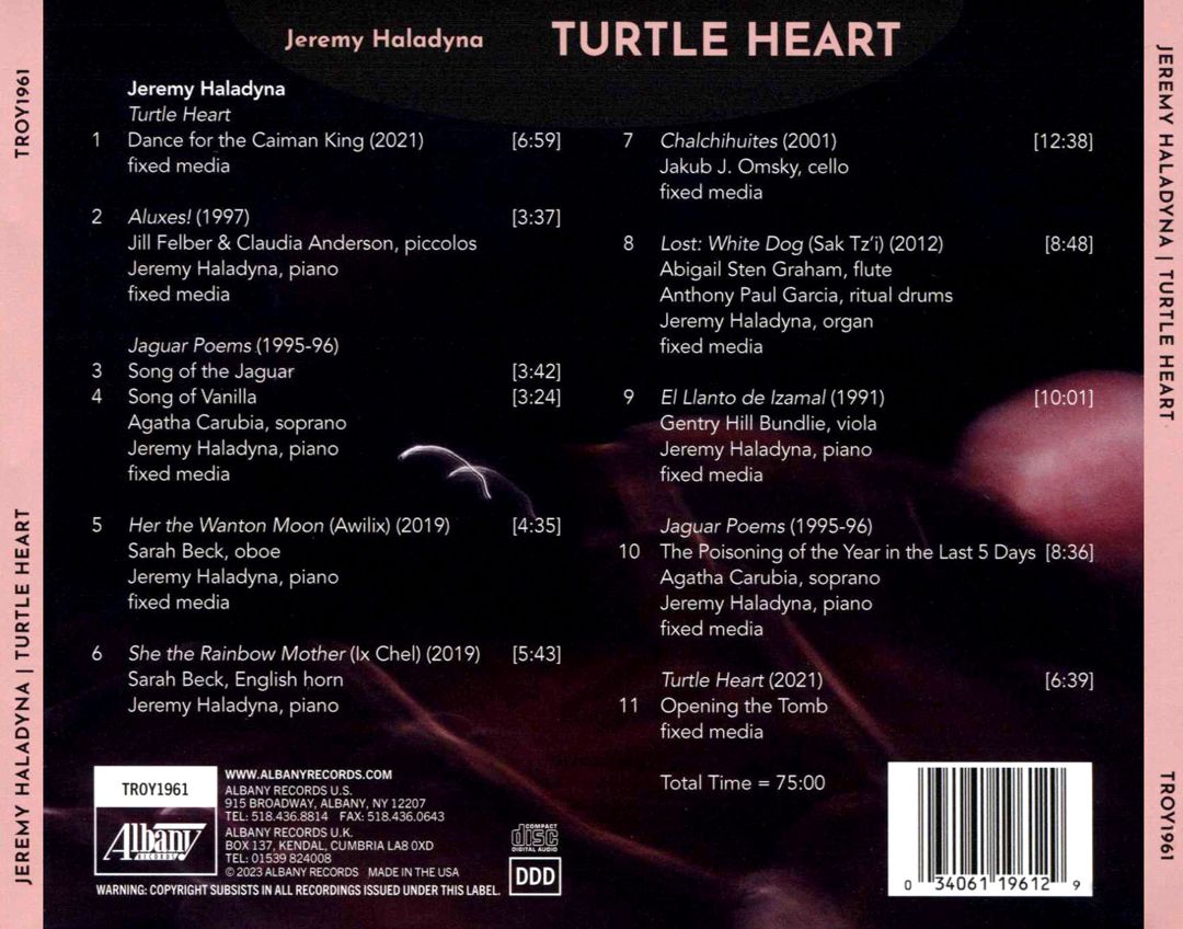 Turtle Heart cover art