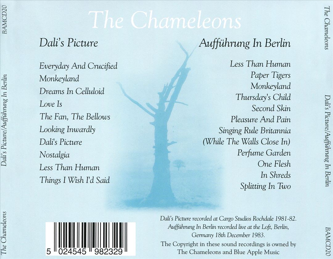Dali's Picture/Auffuhrung in Berlin cover art