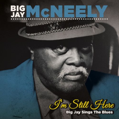 I'm Still Here: Big Jay Sings the Blues cover art