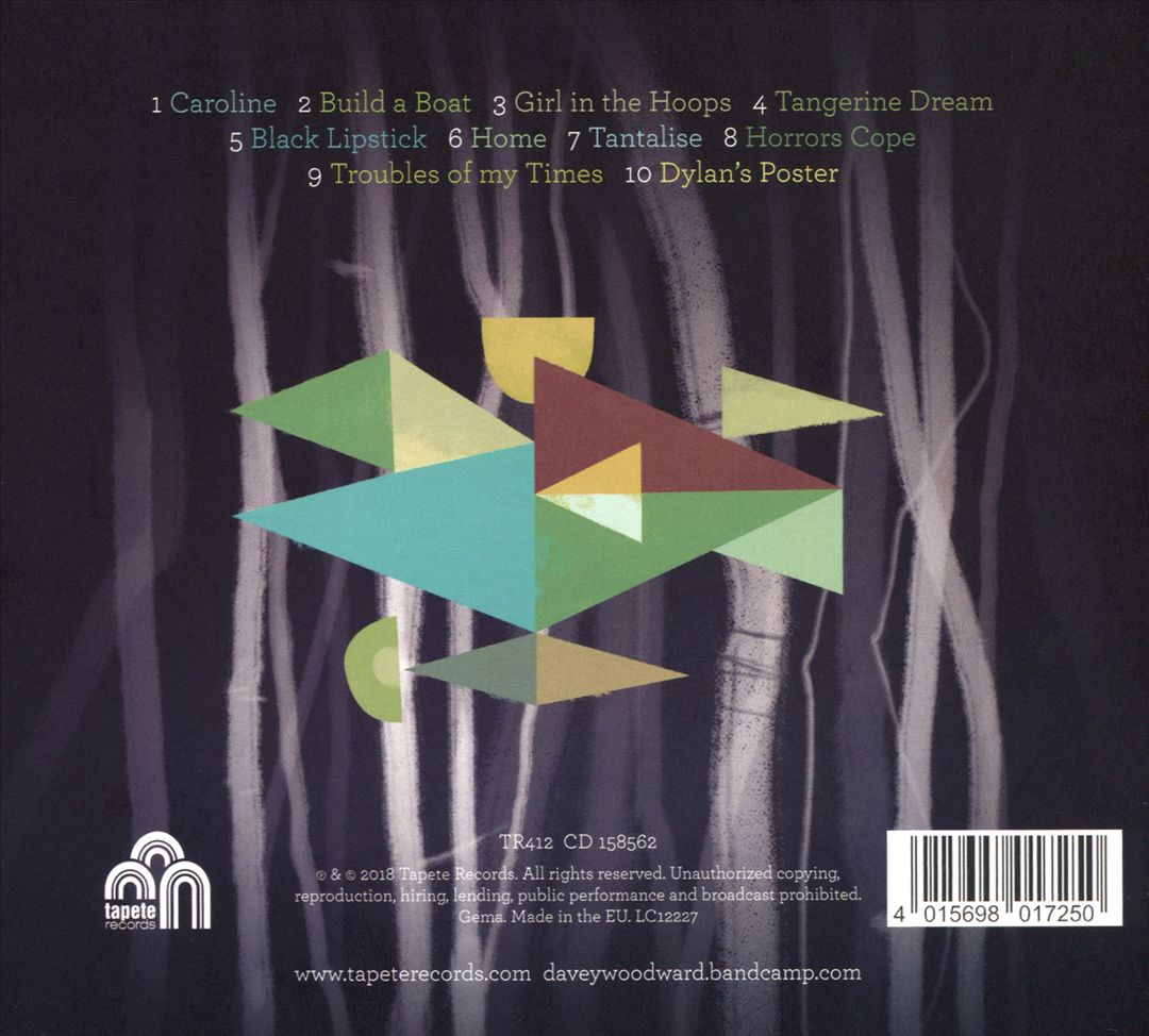 Davey Woodward and the Winter Orphans cover art