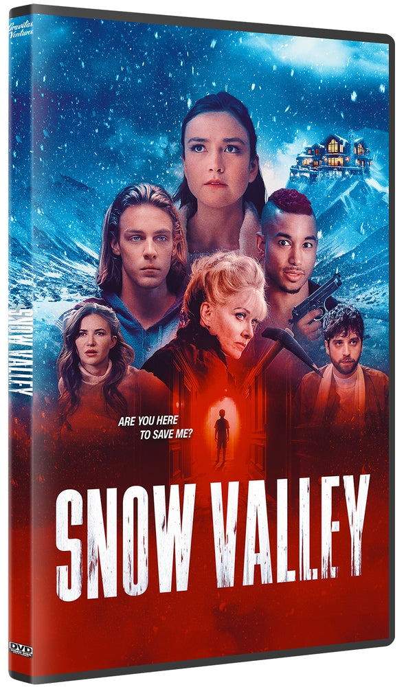 Snow Valley cover art
