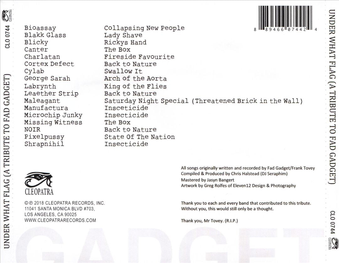 Under What Flag: A Tribute to Fad Gadget cover art