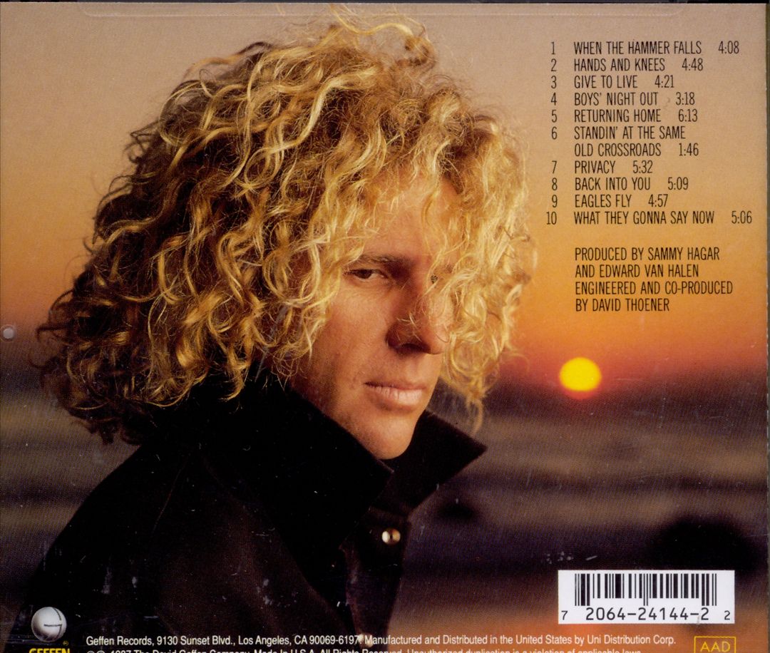 I Never Said Goodbye cover art
