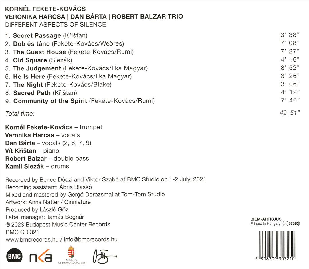 Different Aspects of Silence cover art