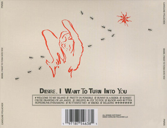 Desire, I Want to Turn into You cover art