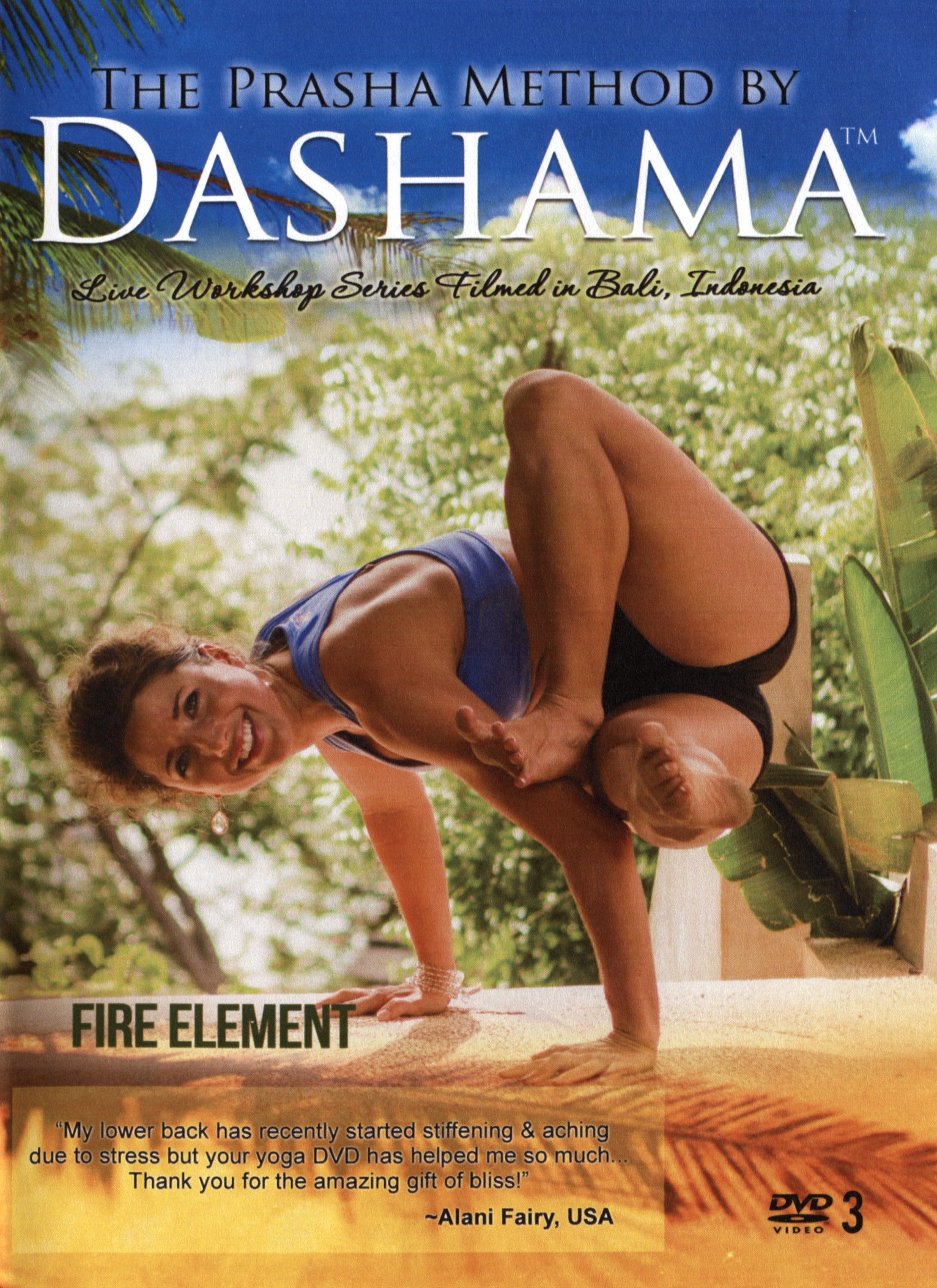 Fire Element (USA Import) cover art