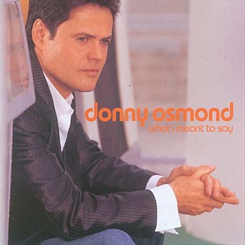 What I Meant to Say cover art