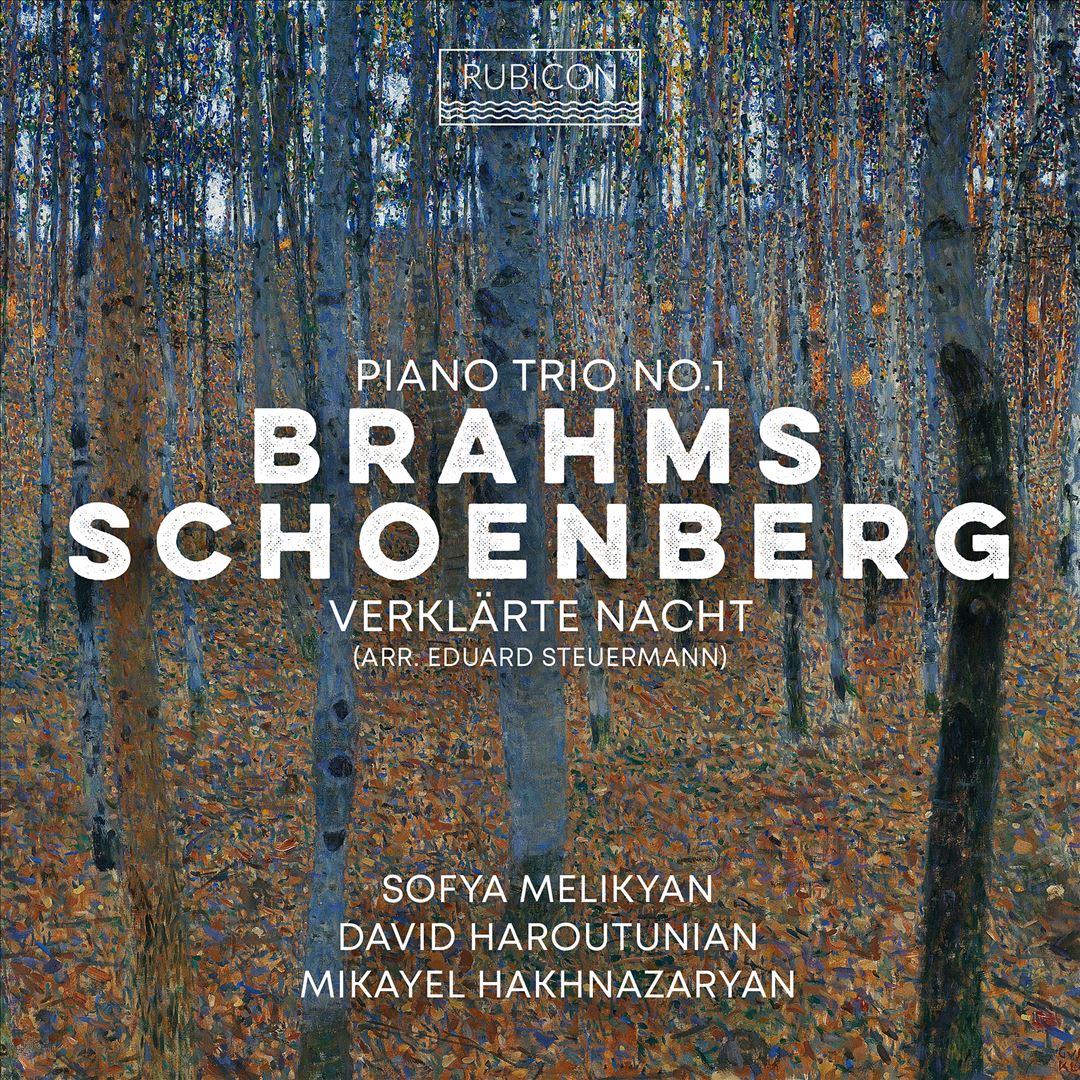 Brahms: Piano Trio No. 1; Schoenberg: Verkärte Nacht cover art