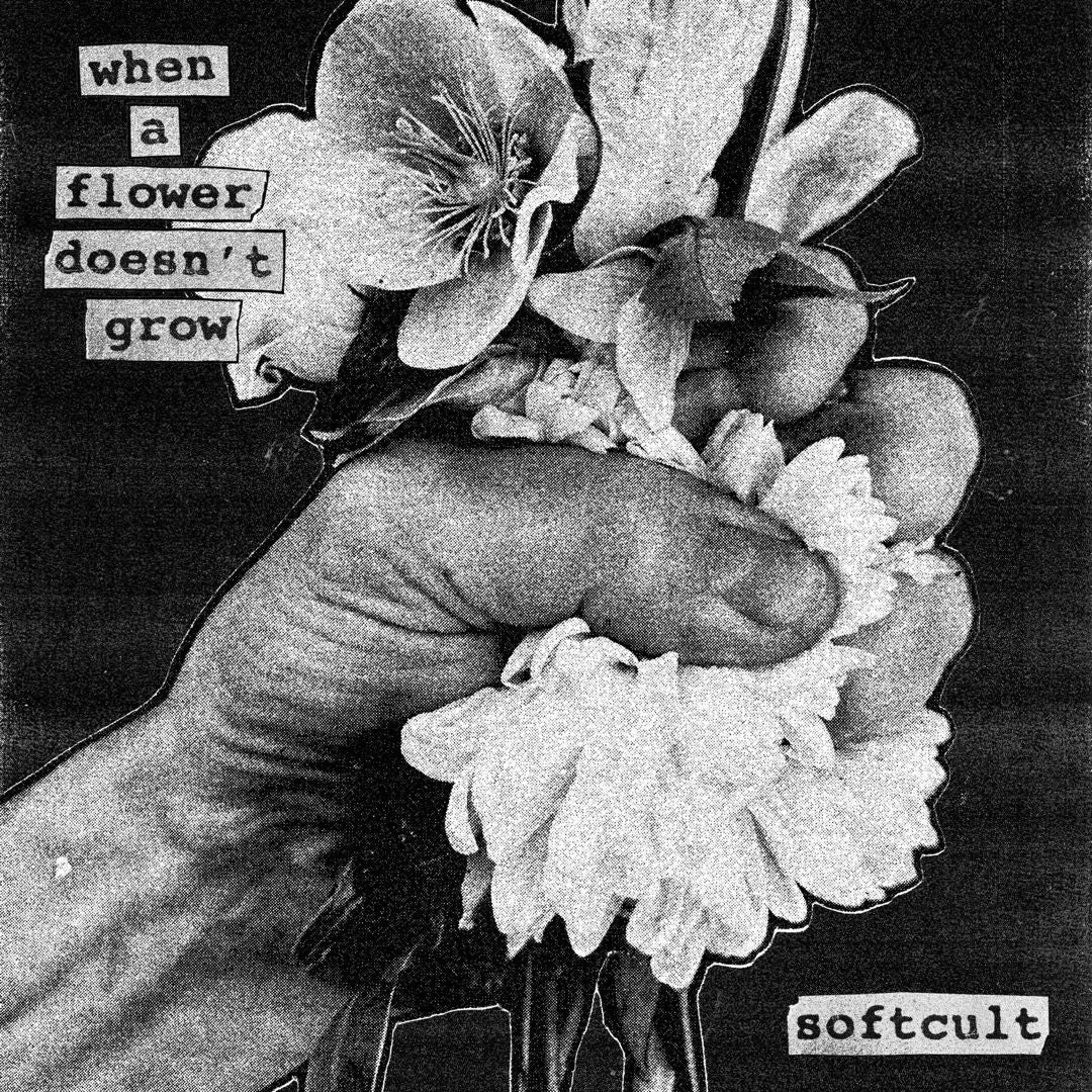 When a Flower Doesn't Grow cover art