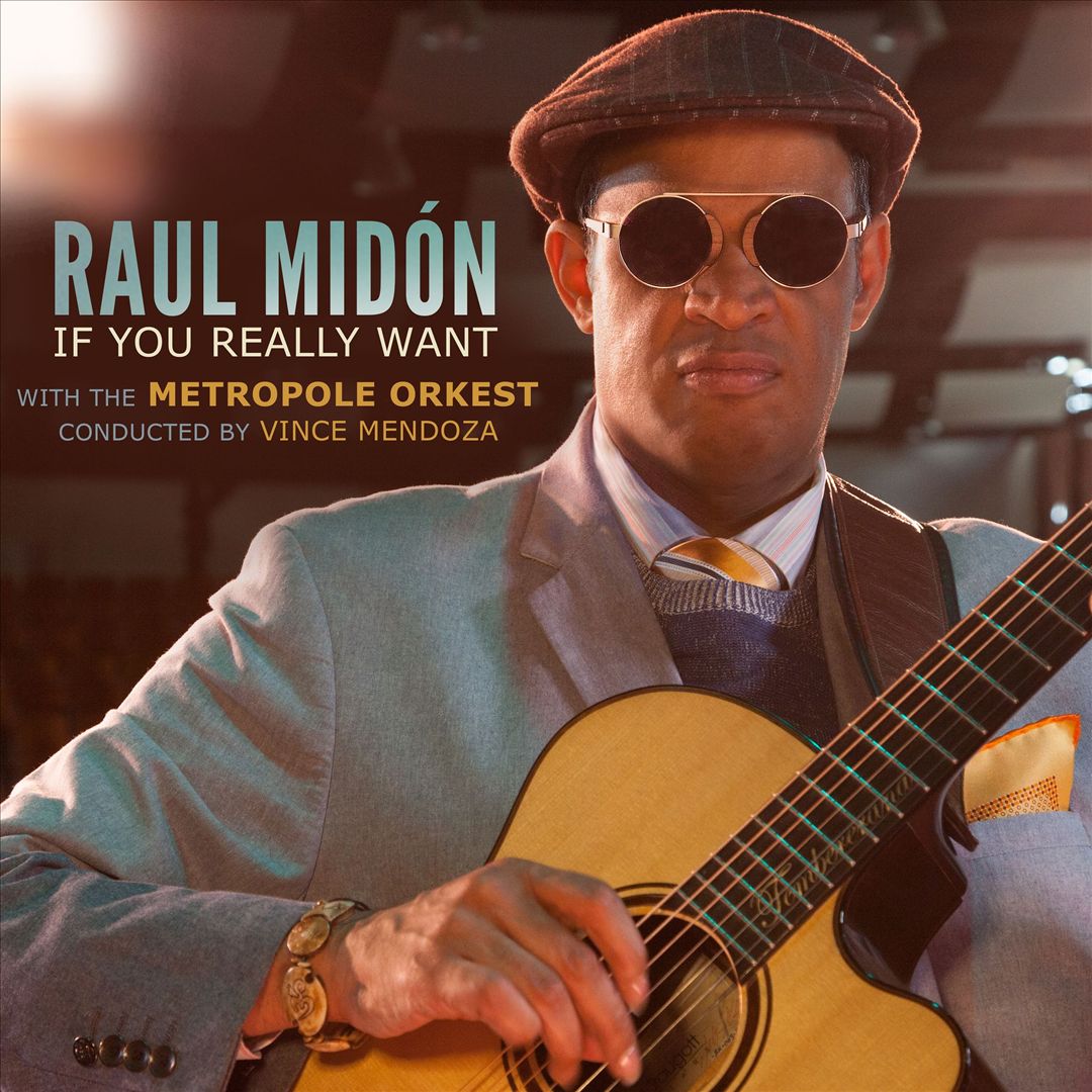 If You Really Want cover art