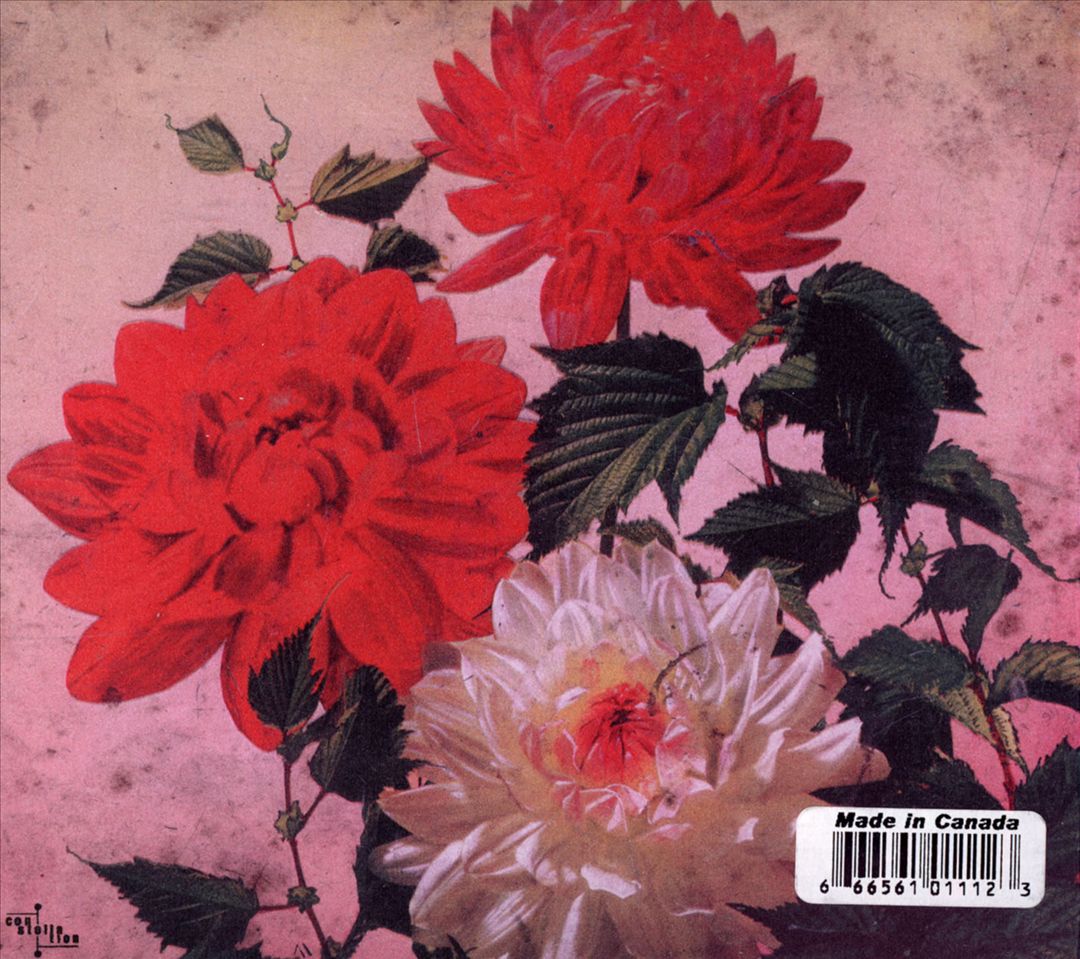 Asunder, Sweet and Other Distress cover art
