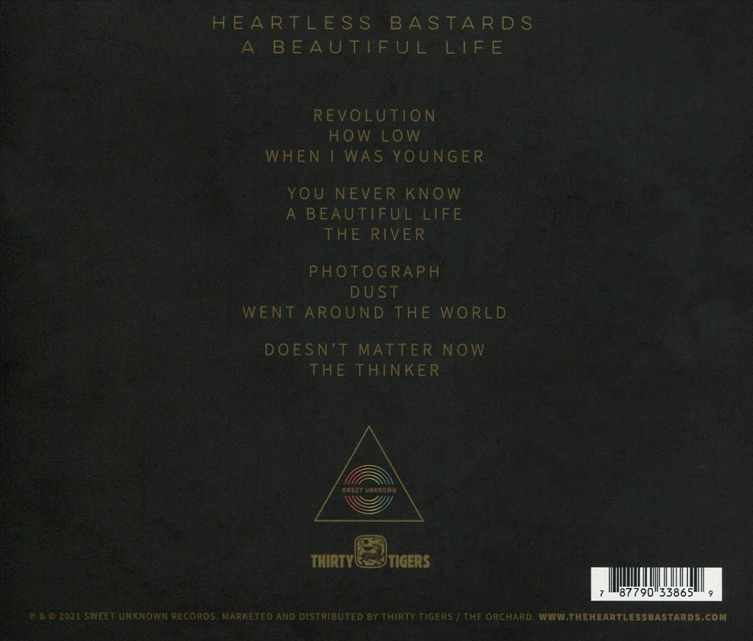 Beautiful Life cover art