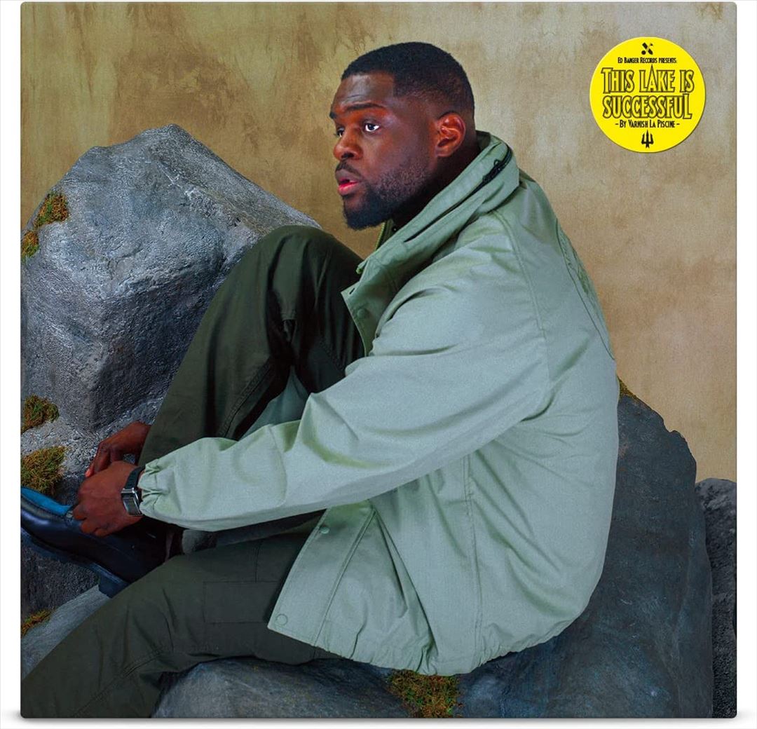 This Lake Is Successful cover art