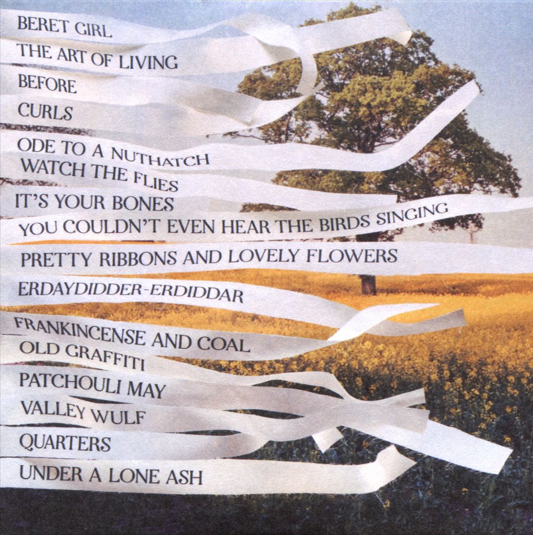 Ribbons cover art