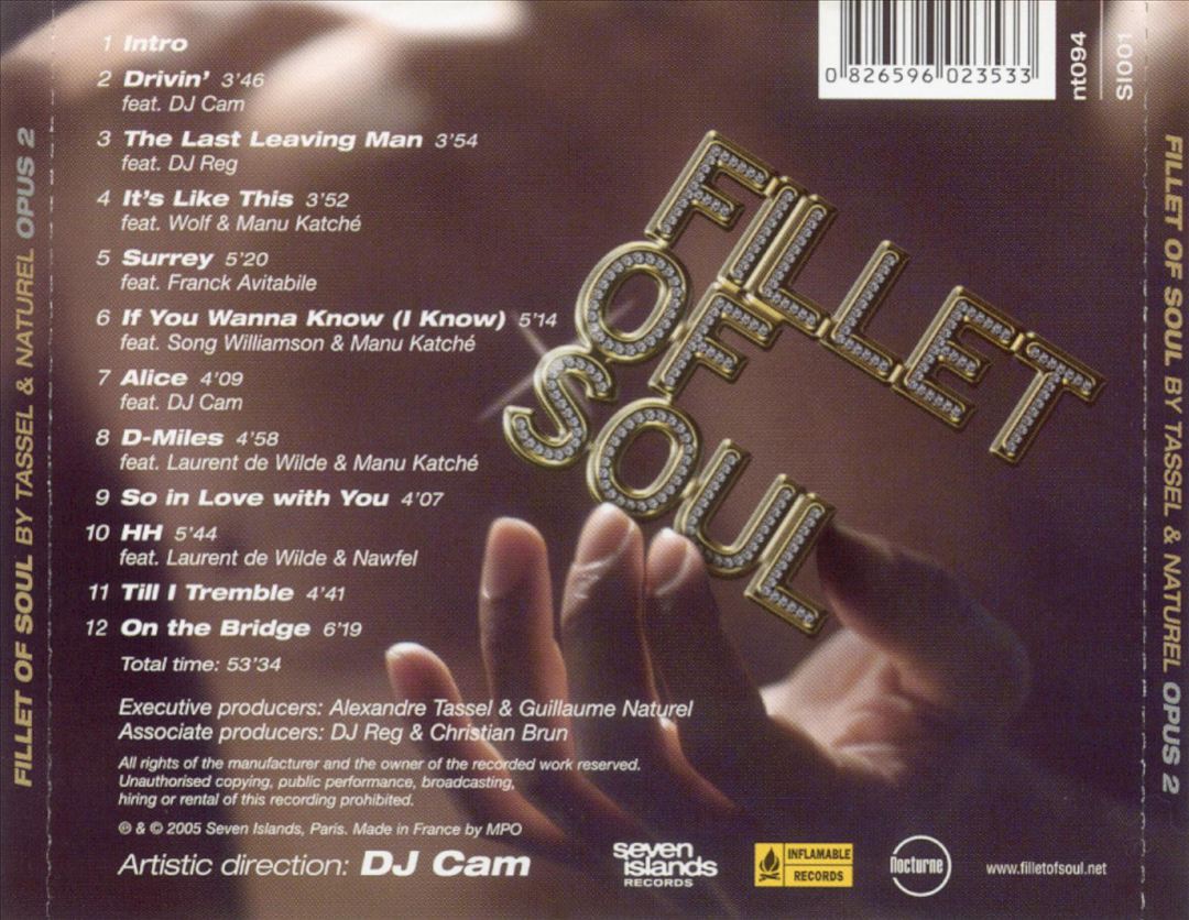 Fillet of Soul: Opus 2 cover art