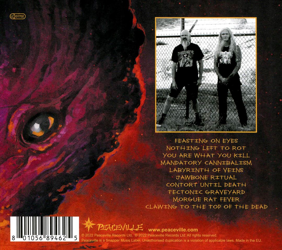 Labyrinth of Veins cover art