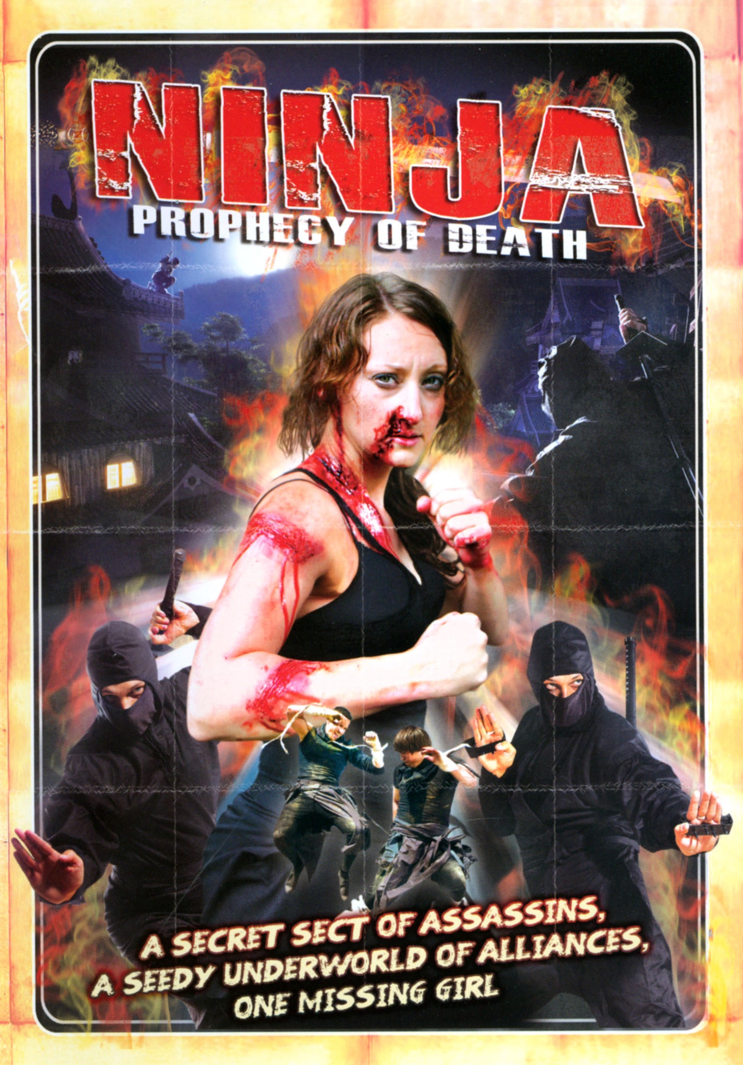 Ninja: Prophecy of Death cover art