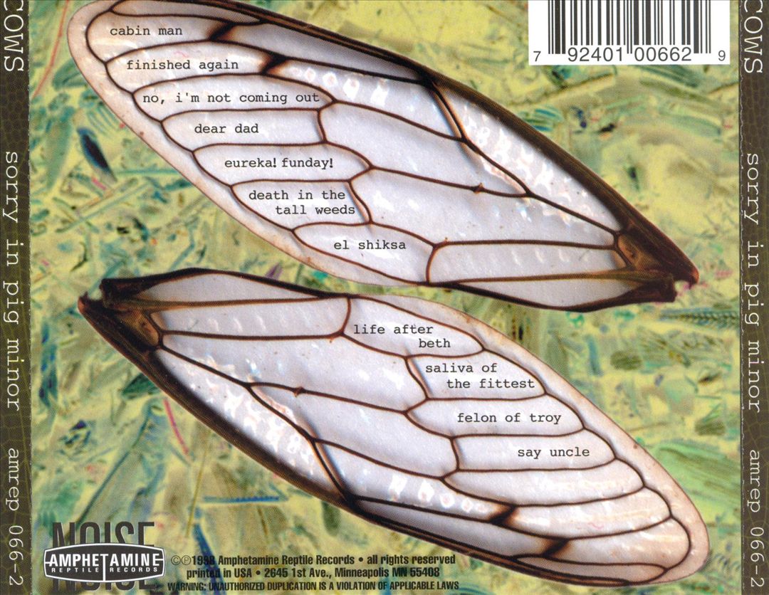 Sorry in Pig Minor cover art