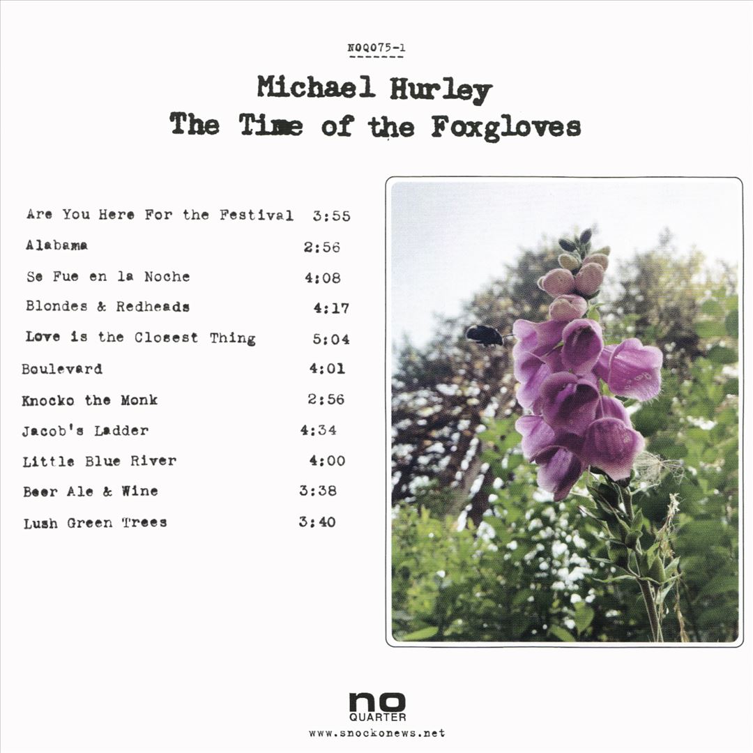 Time of the Foxgloves cover art