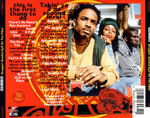 Droppin' Soulful H2O on the Fiber cover art