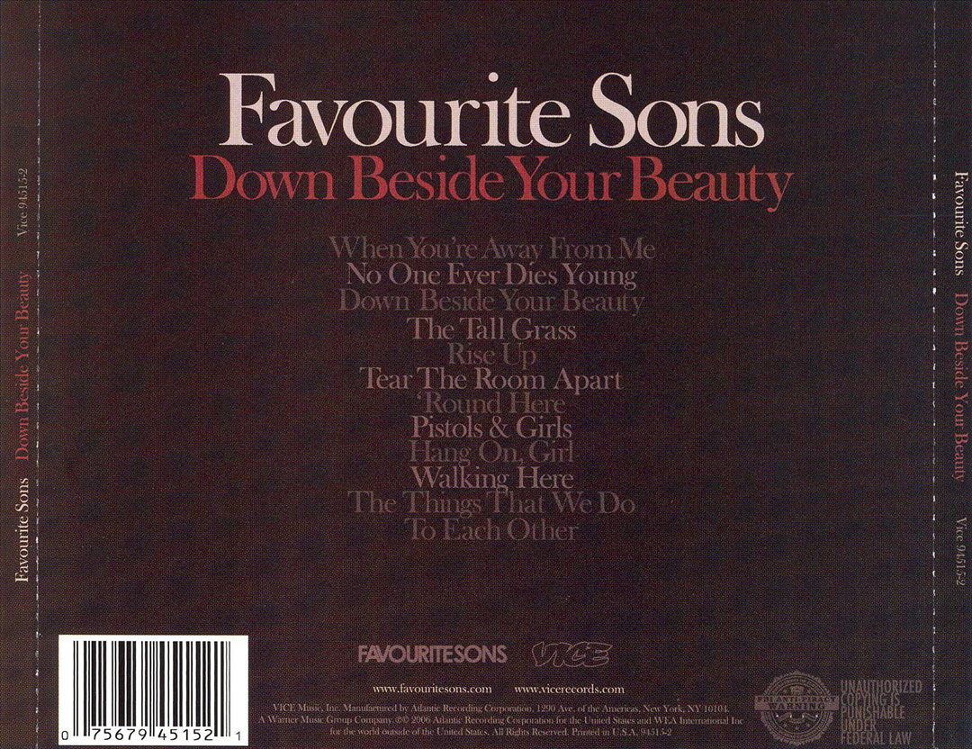 Down Beside Your Beauty cover art