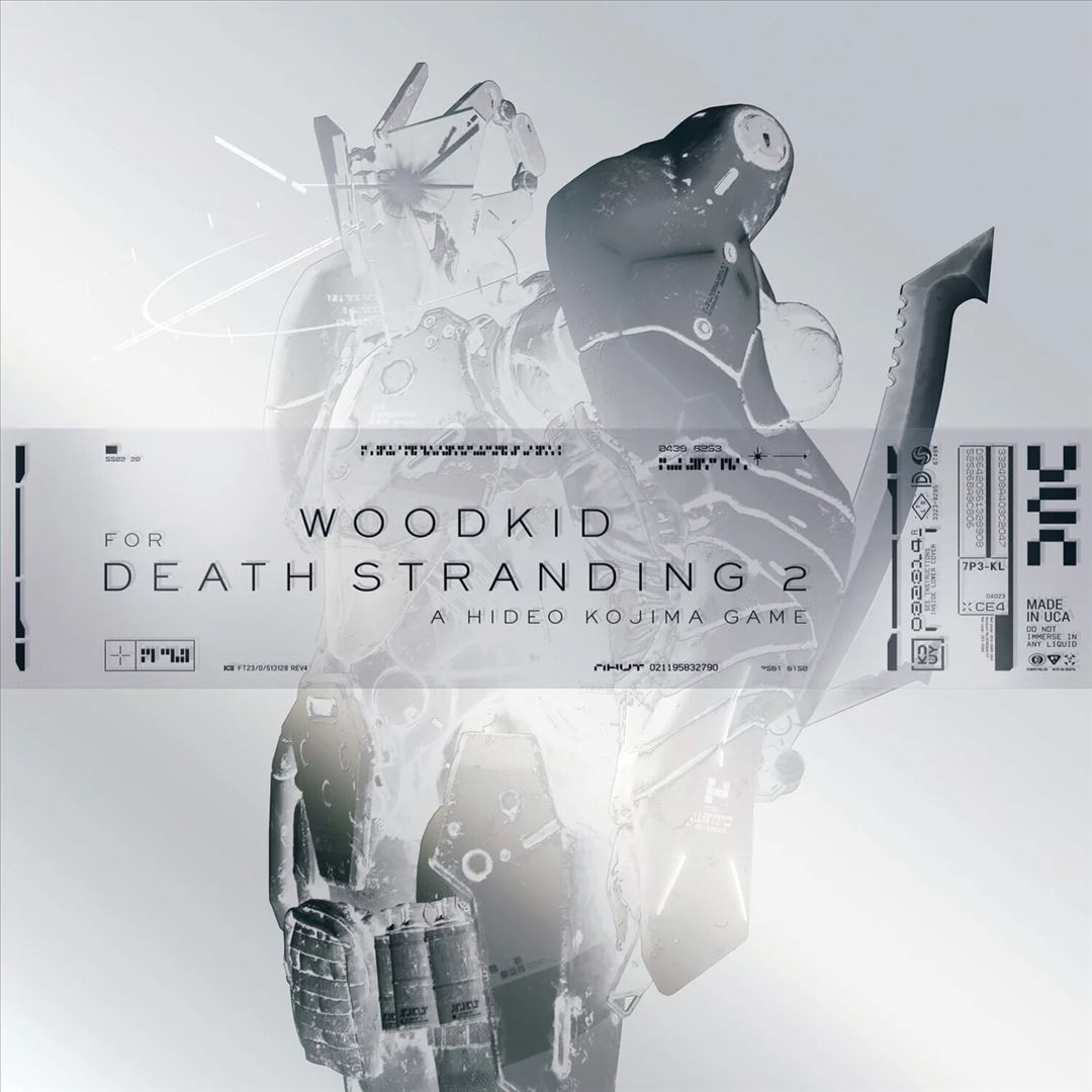 FOR DEATH STRANDING 2: ON THE BEACH cover art