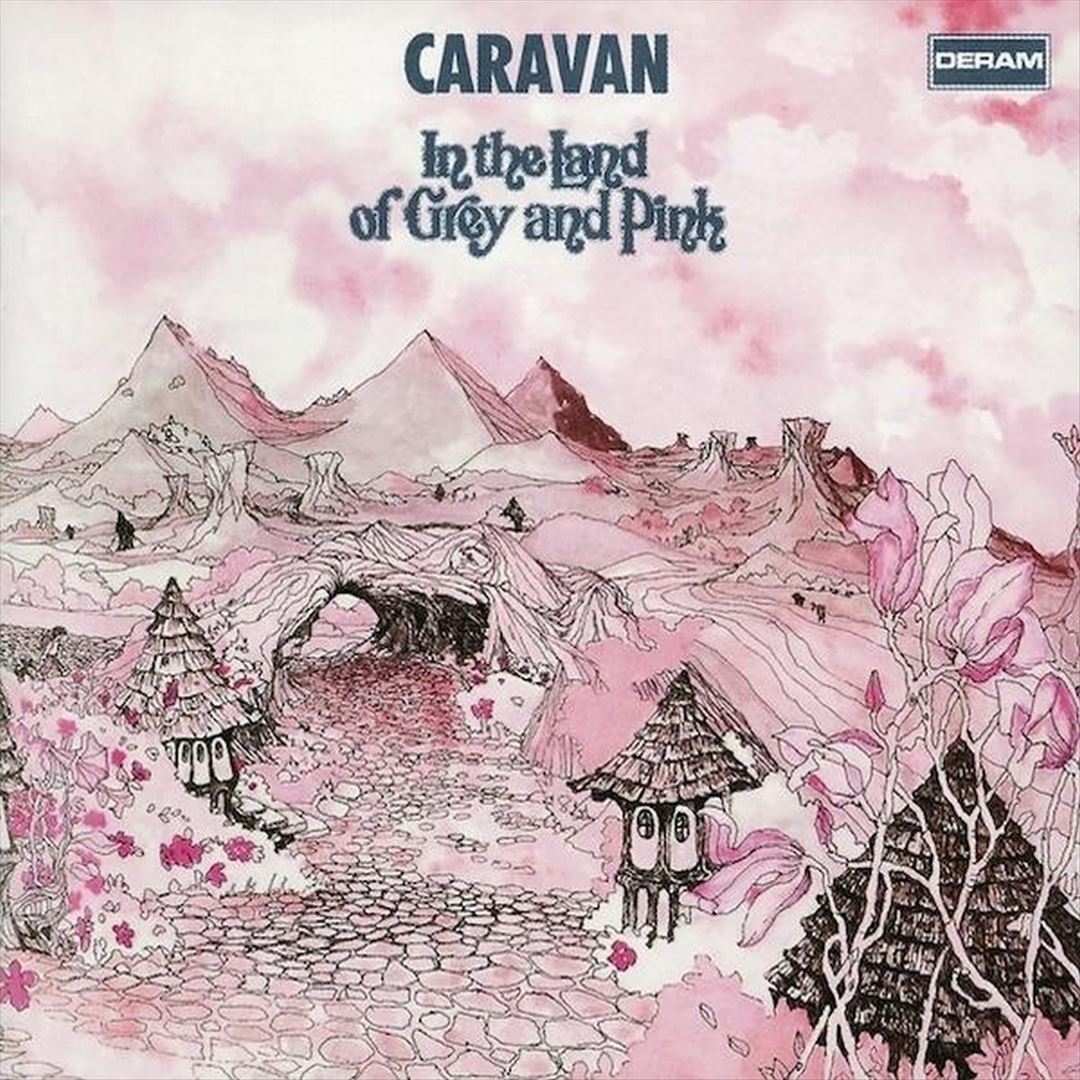 In the Land of Grey and Pink [Grey & Pink Vinyl] cover art