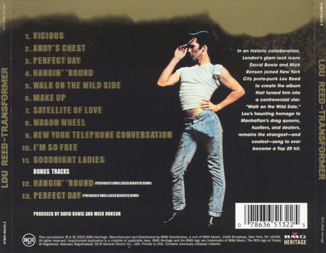 Transformer [Expanded Edition] cover art