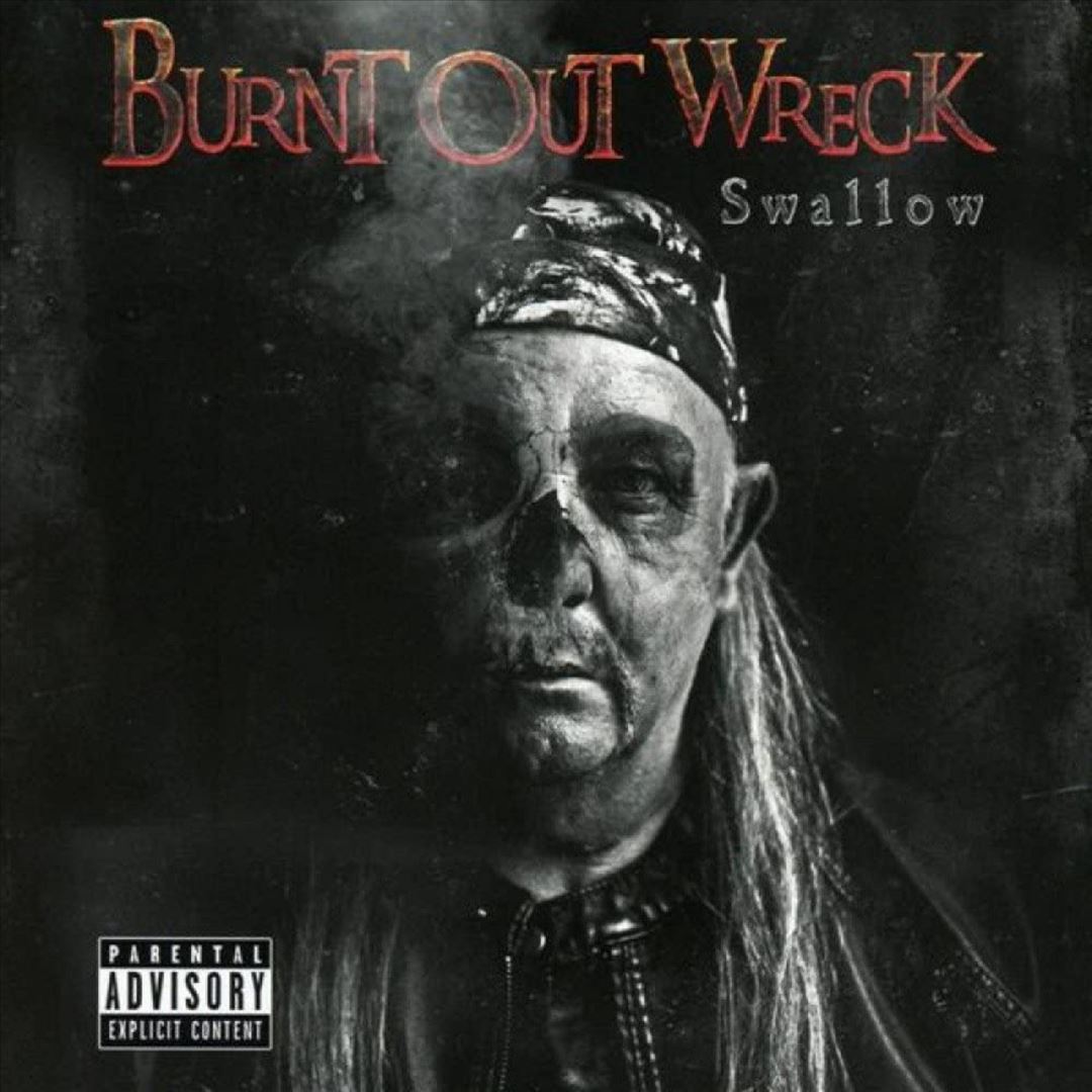 Swallow cover art