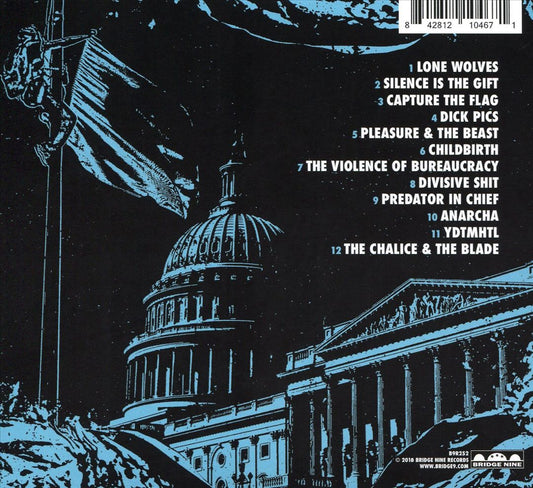 Capture the Flag cover art