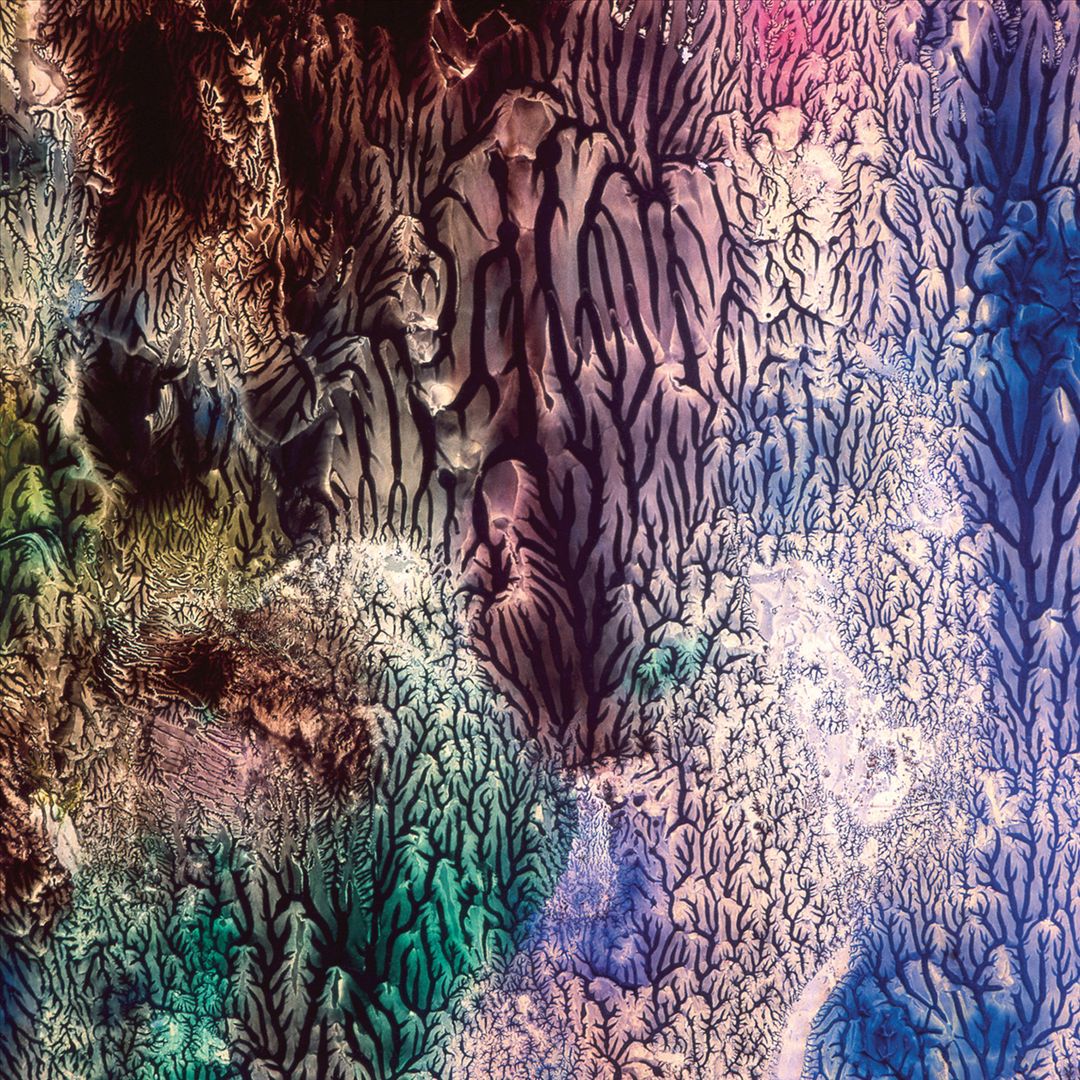 Womb cover art