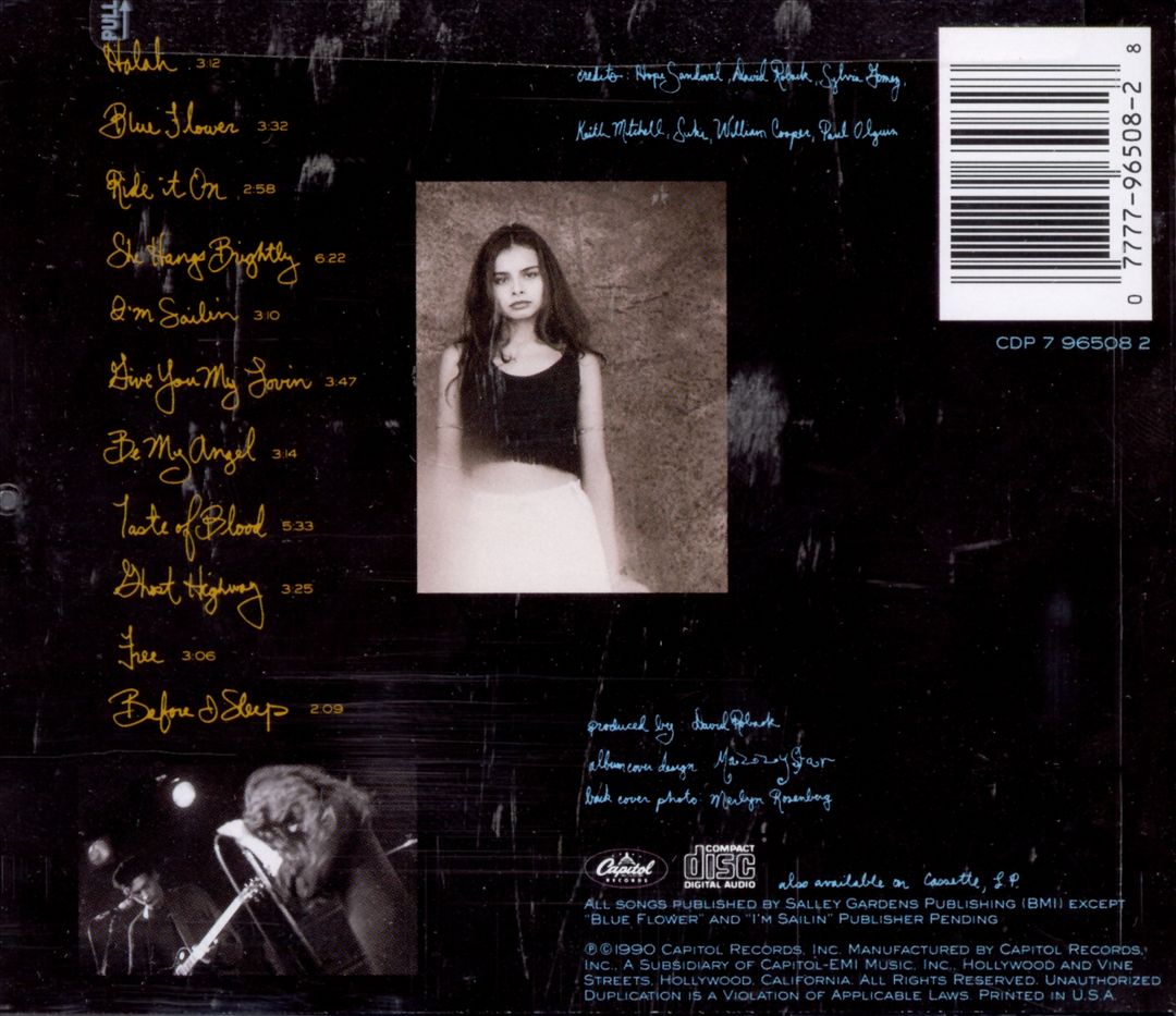She Hangs Brightly cover art