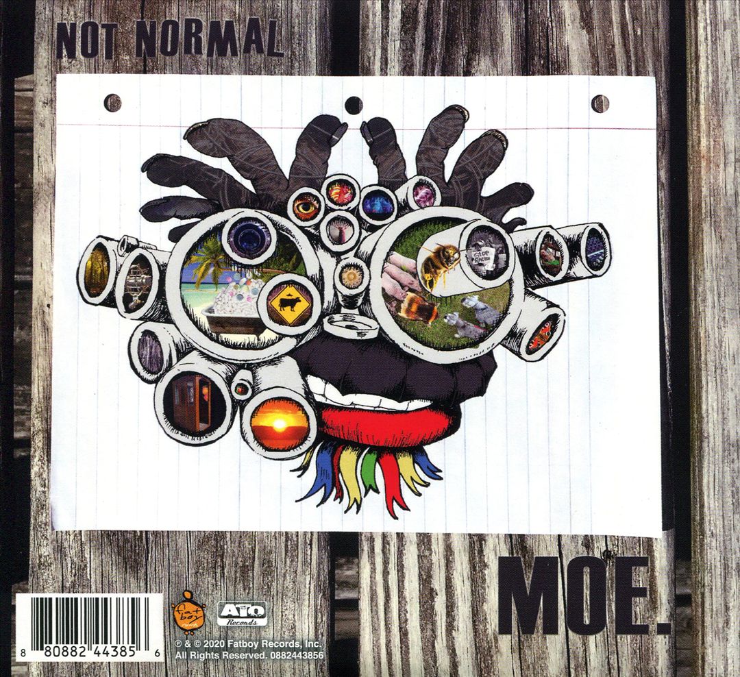 This Is Not, We Are/Not Normal cover art