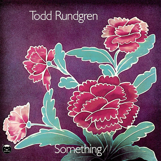Something/Anything? cover art