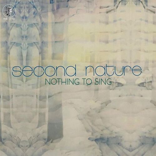 Nothing to Sing cover art